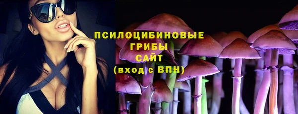 ECSTASY Дмитриев