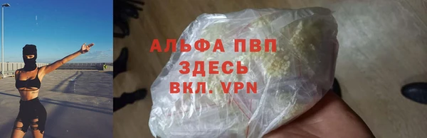 крисы Дмитровск