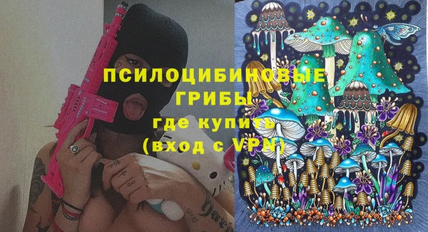 крисы Дмитровск